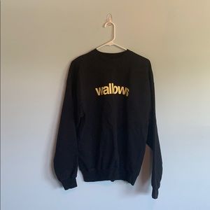 Wallows Band Sweatshirt